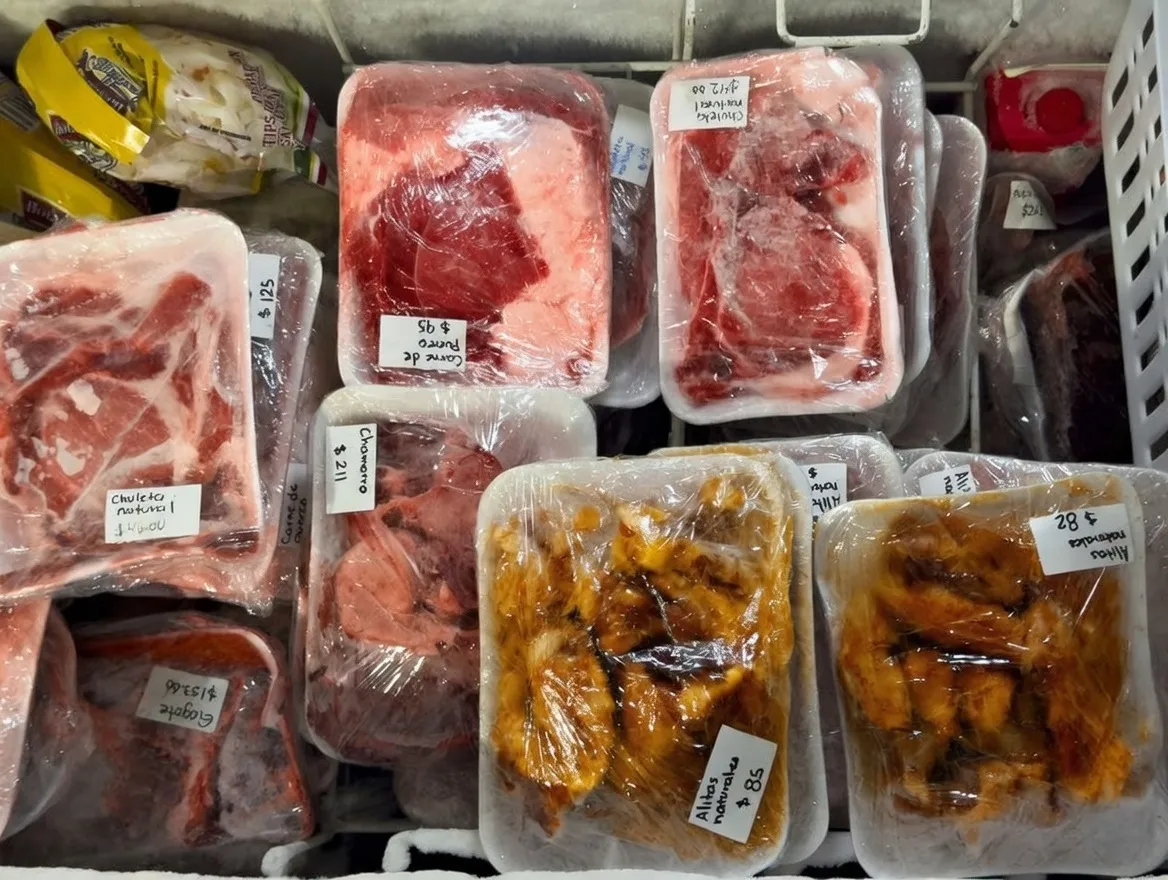 Sección de Congelados en Miscelanea Angelica